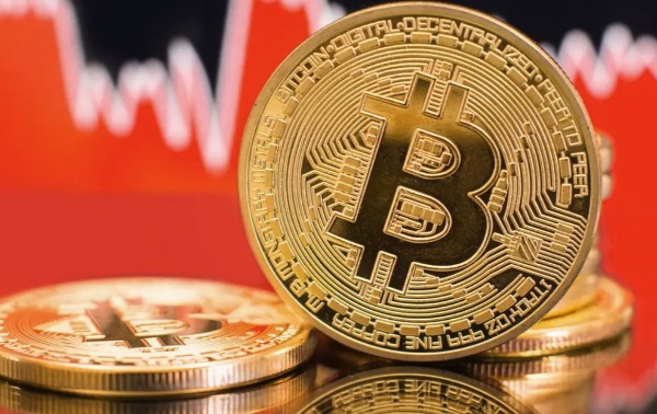 1767682806717880.jpeg 6787867.jpeg