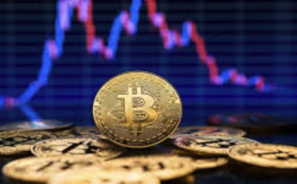 1767786746391677.jpeg 768768.jpeg