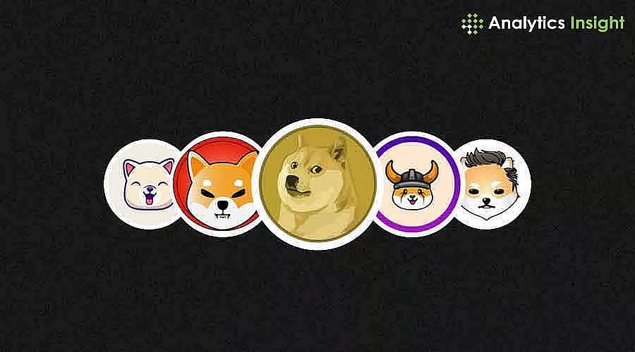 迷因币再次崛起？解读市场信号